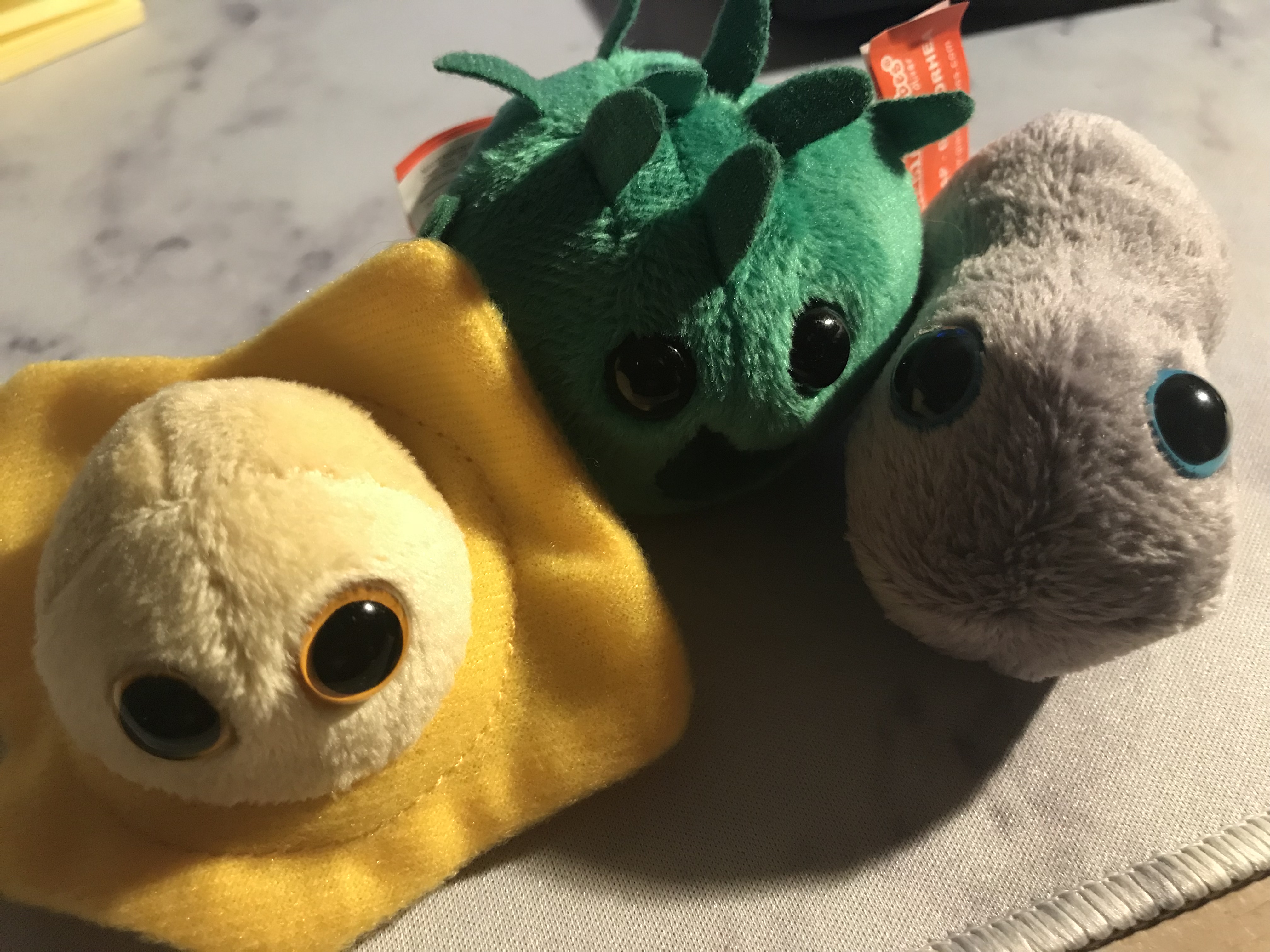 April is STD Awareness Month, Break the Sigma with GIANTmicrobes