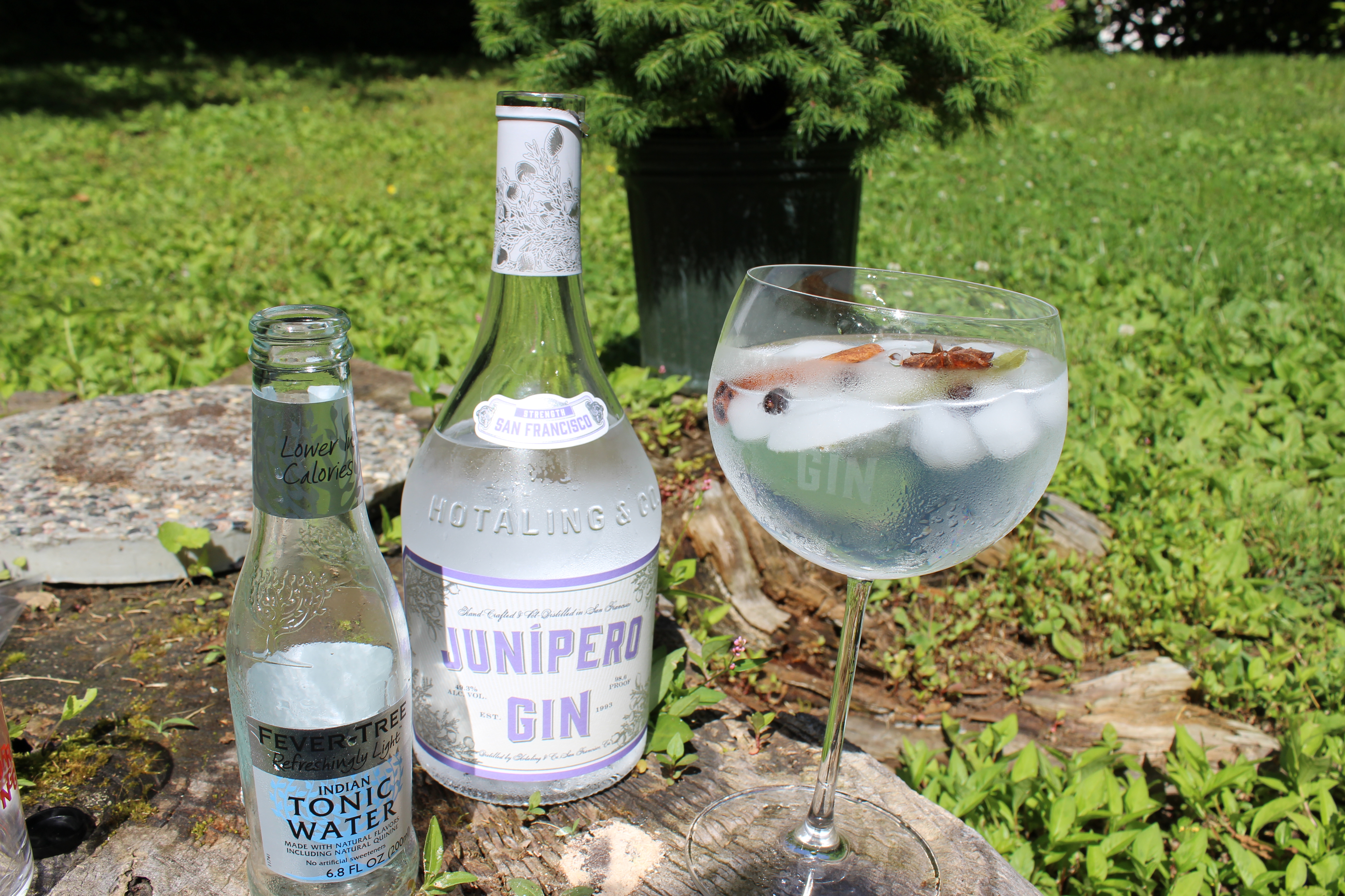 The Perfect Gin & Tonic for World Gin Day